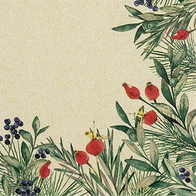 ECO LINE Servietten Rosehip and Evergreen 33x33 cm von Home Fashion