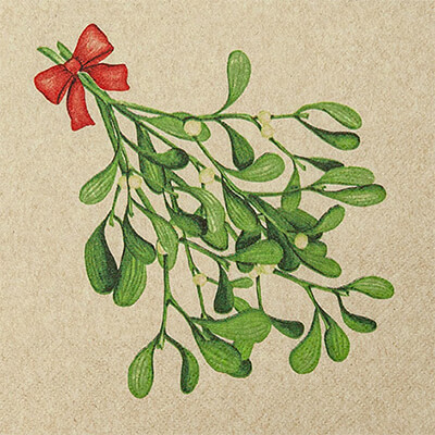 Zur Produktseite von ECO LINE Servietten Mistletoe Twigs 33x33 cm von Home Fashion ECO LINE Servietten Mistletoe Twigs 33x33 cm von Home Fashion