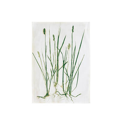 Södahl Geschirrtuch Chambray aus Baumwolle 50 x 70, Grass