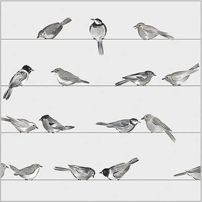 Servietten Birds 25 x 25 cm von ppd