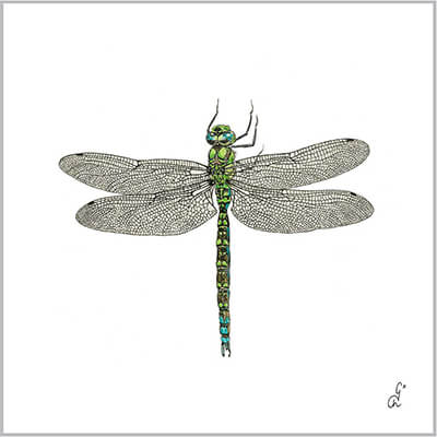 Servietten Libellule 25 x 25 cm von ppd
