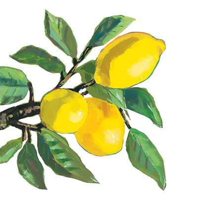 Servietten Lemon Musée white 25 x 25 cm von ppd