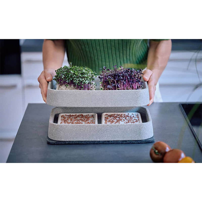Mikrogarten XL-Set Granicium von Denk weitere Ansicht Mikrogarten XL-Set Granicium von Denk