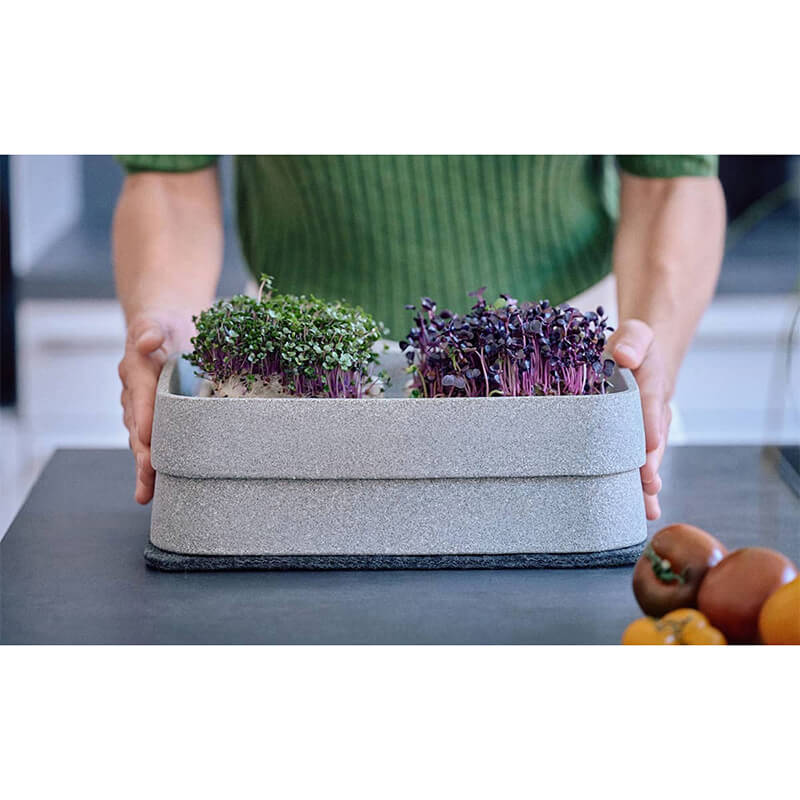 Mikrogarten XL-Set Granicium von Denk weitere Ansicht Mikrogarten XL-Set Granicium von Denk