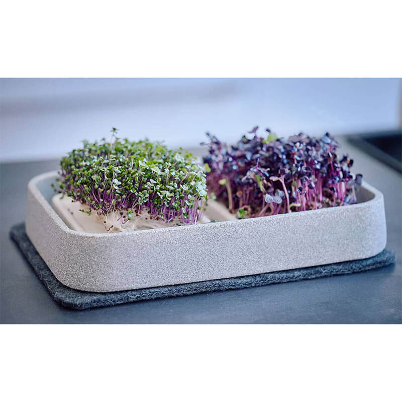 Mikrogarten XL Granicium von Denk