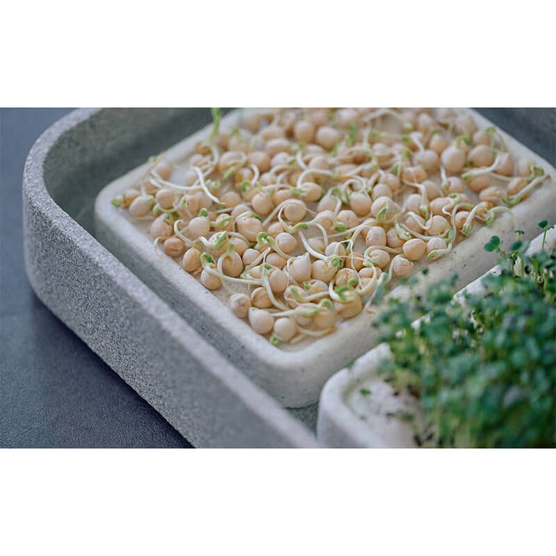 Mikrogarten XL Granicium von Denk