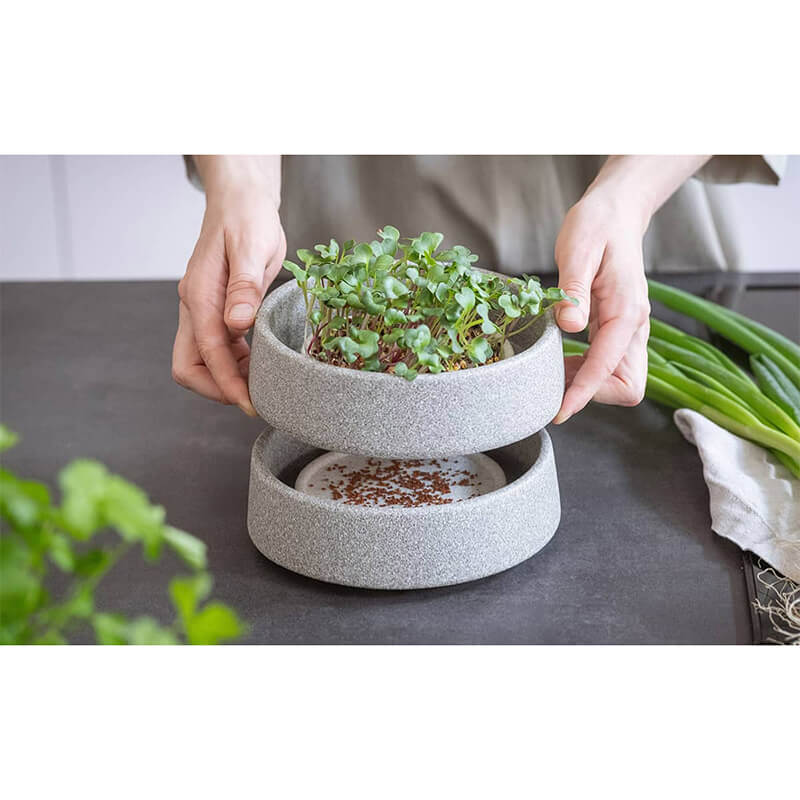 Mikrogarten Granicium von Denk