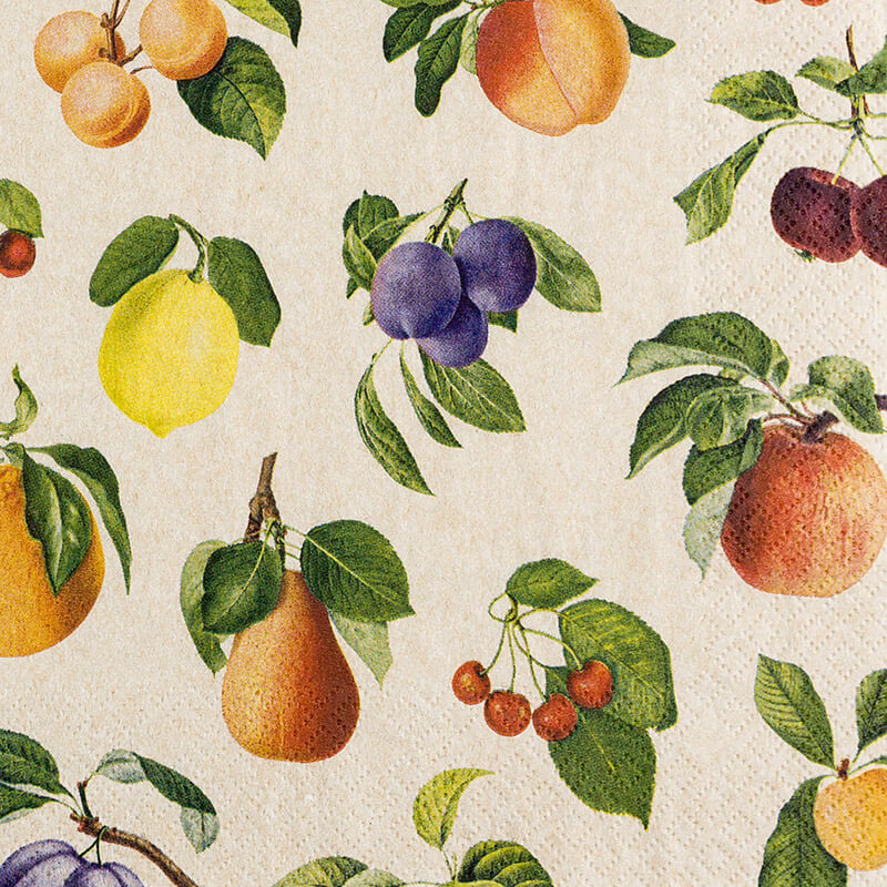 ECO LINE Servietten Fruit Lovers 33x33 cm von Home Fashion weitere Ansicht ECO LINE Servietten Fruit Lovers 33x33 cm von Home Fashion