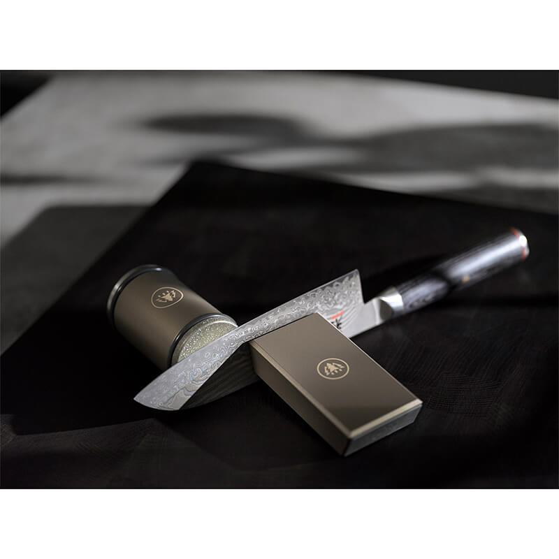 HORL 3 Pro Rollschleifer & Magnetschleiflehre