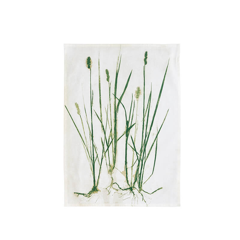 Södahl Geschirrtuch Chambray aus Baumwolle 50 x 70, Grass